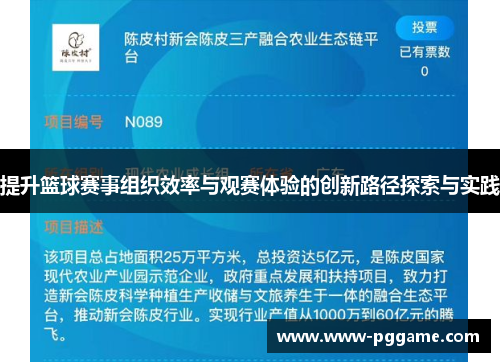 提升篮球赛事组织效率与观赛体验的创新路径探索与实践