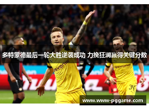 多特蒙德最后一轮大胜逆袭成功 力挽狂澜赢得关键分数