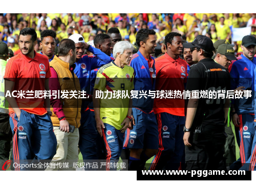 AC米兰肥料引发关注，助力球队复兴与球迷热情重燃的背后故事