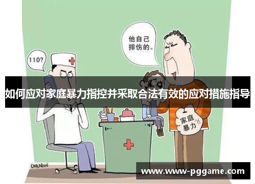 如何应对家庭暴力指控并采取合法有效的应对措施指导