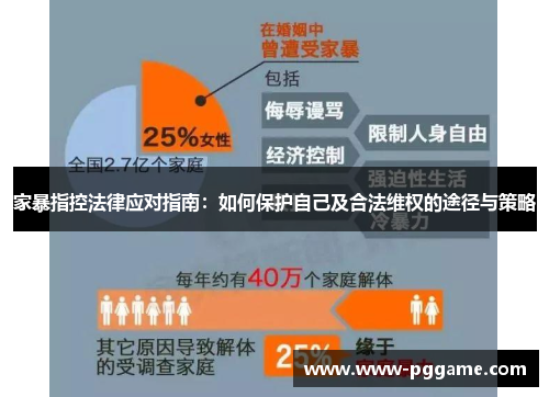 家暴指控法律应对指南：如何保护自己及合法维权的途径与策略