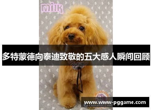 多特蒙德向泰迪致敬的五大感人瞬间回顾