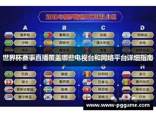 世界杯赛事直播覆盖哪些电视台和网络平台详细指南