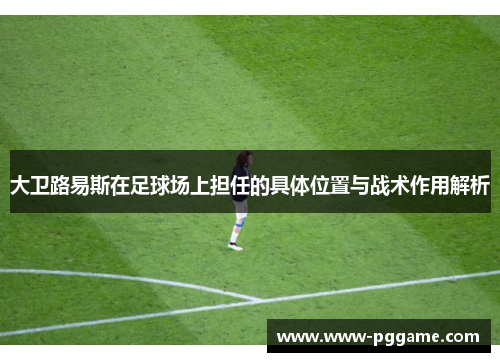 大卫路易斯在足球场上担任的具体位置与战术作用解析