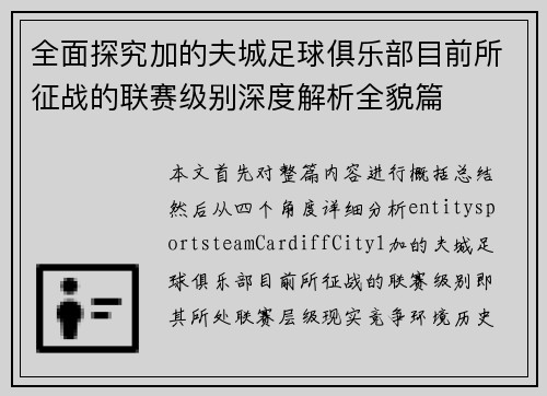 全面探究加的夫城足球俱乐部目前所征战的联赛级别深度解析全貌篇