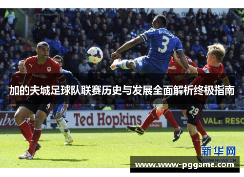 加的夫城足球队联赛历史与发展全面解析终极指南