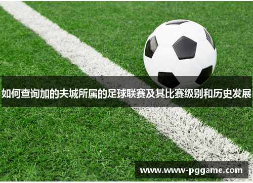 如何查询加的夫城所属的足球联赛及其比赛级别和历史发展