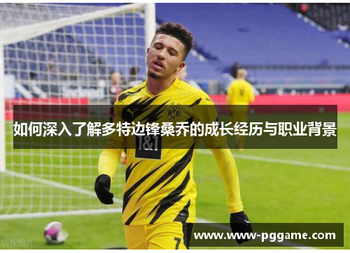 如何深入了解多特边锋桑乔的成长经历与职业背景