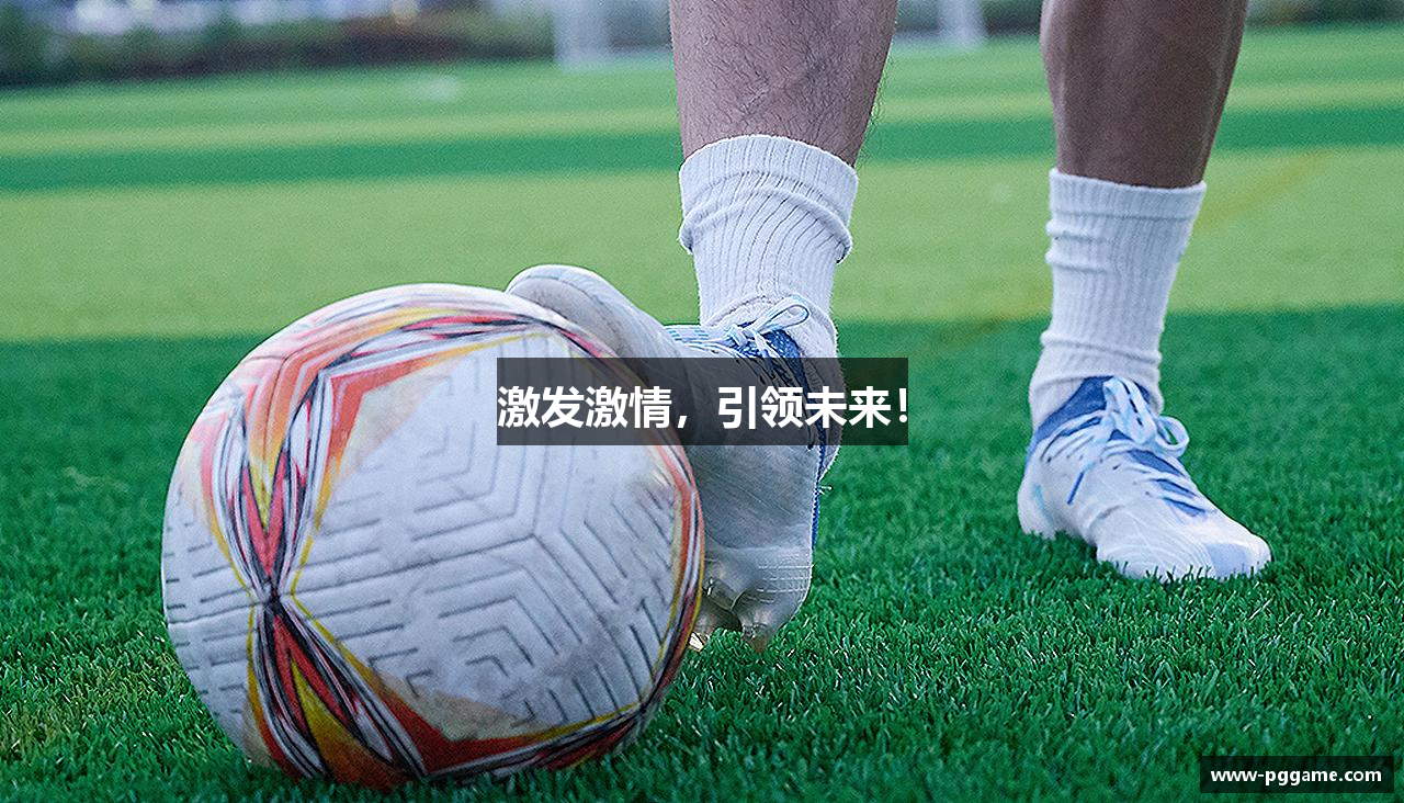 激发激情，引领未来！